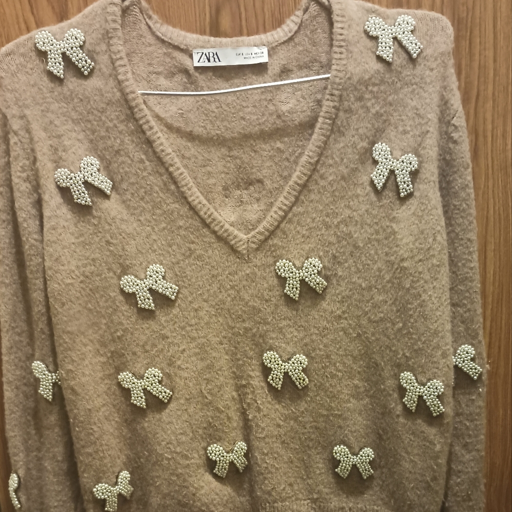 Zara Evening Dinner Top
